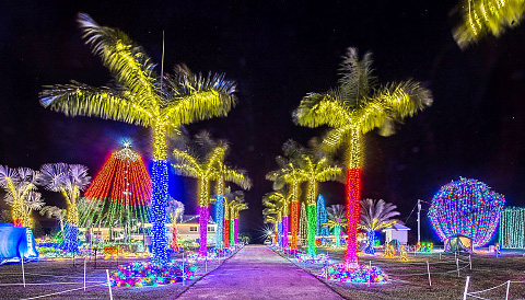 The Christmas lights are on again this year at the Crighton house on Shamrock Road. - PHOTO: TANEOS RAMSAY