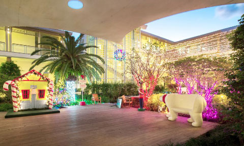 Camana Bay’s courtyards also feature bright and cheerful Christmas decorations. - Photo: Stephen Clarke