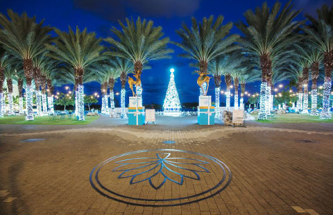 The elaborate Christmas decorations of Camana Bay have attracted thousands with holiday spirit to the development over the years and now they’ve caught they of the USA Today Travel.