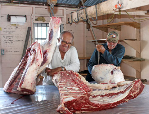 Evelyn McLaughlin and Francis Welcome are old hands at raising cattle for Christmas beef. - PHOTOS: JEWEL LEVY