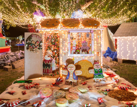 christmas-lights-cayman.png