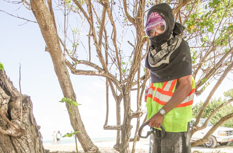 Shane Rankine works at Barkers National Park last Friday. The West Bay resident said he would be spending the Christmas cash on his four kids. -PHOTO: MATT LAMERS