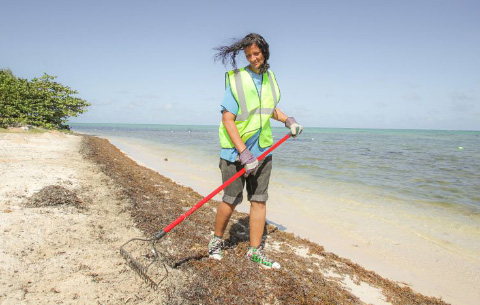 Katina Masura Anglin rakes seaweed in Barkers National Park.