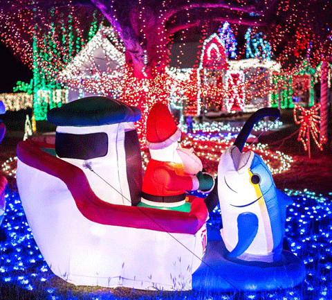 cayman-santa.png
