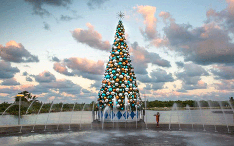 cayman-christmas-tree.png