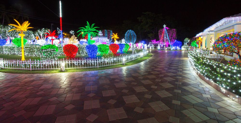 image_714044.JPG
