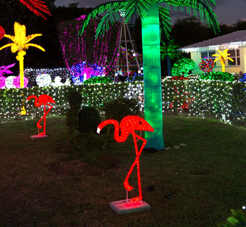 flamingo-lights.png