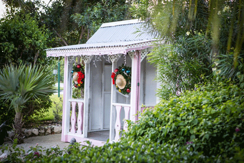 Cayman-Christmas-sm.png