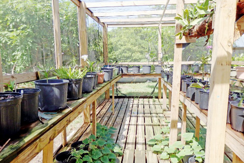 An orchid house is just one of the garden