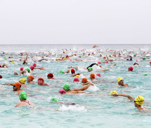 The Flowers Sea Swim attracts hundreds of swimmers each year.
