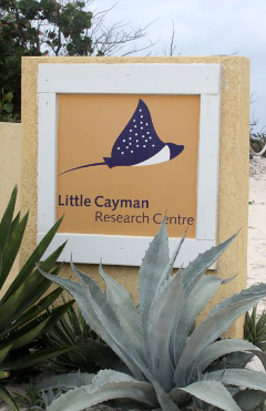 The Dart Foundation has given a three-year grant to the Central Caribbean Marine Institute