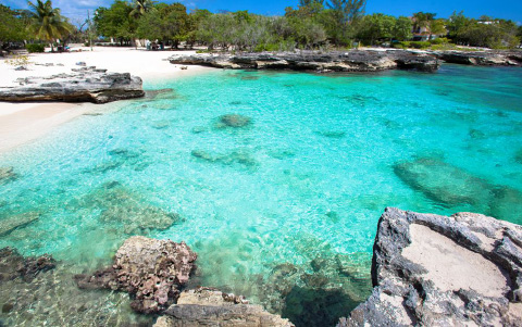 Smith Cove