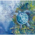 Christmas charity calendars and cards