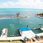 Dolphin Discovery takes over Dolphin Cove