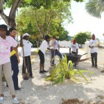 Garden Club decorating various public spaces
