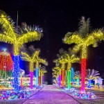 Crighton Christmas display: Holiday celebrations as usual