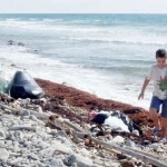 Beachside trash yields treasure – and then some