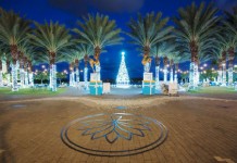 Camana Bay's decorations lauded in USA Today Travel