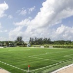 CIFA to launch GOAL project inquiry