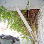 House damaged in car smash