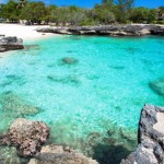 Man arrested for beach theft