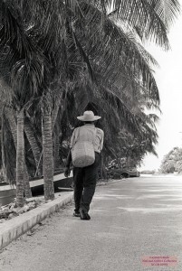 A man walks along the seaside under the shade of coconut palms in East End.