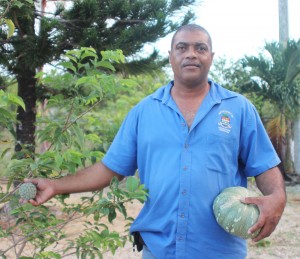 Ray Burton Kirchman picks pumpkins and sweet sops from his garden plot for the Agriculture Show.