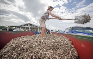 George Town resident Anna Elverson collects mulch for her garden.