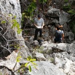 Plant experts make field trip to Brac