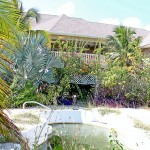 Overgrown Alexander Hotel remains in limbo