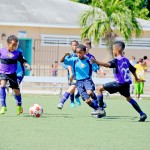 Schools seal semifinal berths