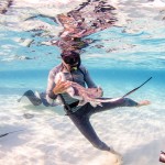 Stingrays make Sandbar home base