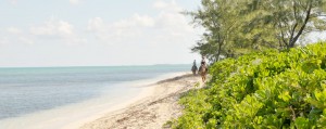 Riders enjoy the peaceful vistas of Barkers Beach.