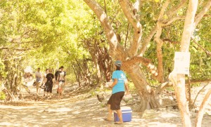 Tourists walk along a footpath in Barkers.