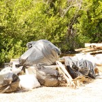 Anti-littering signs to be put up island-wide