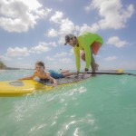 Paddle makes perfect