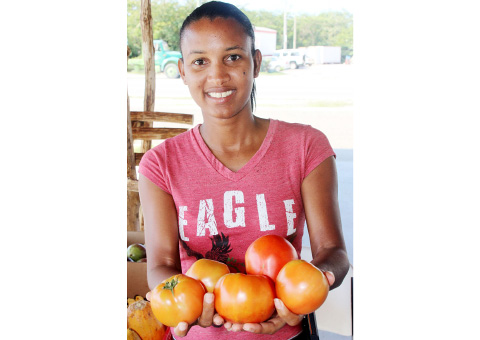 Kimberly Salgado selling tomato slicers for Geoffrey Dixon Farms in Lower Valley, Bodden Town, shows a few harvested this year.