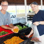 Cayman’s tomato crop struggling