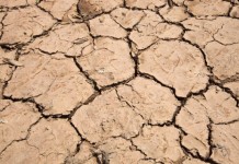Weather Service: Climate change making Cayman hotter, drier
