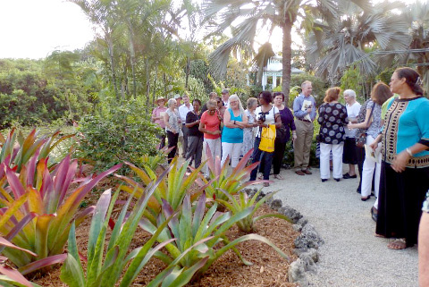 The memorial tree is at the end of the Colour Gardens path, downhill from the gazebo.