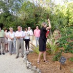 ‘Tree of life’ planted in memory of Andrew Guthrie