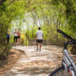 Discovering East End’s hidden treasures by bike