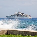 DoE, Paul Allen settle differences to salvage coral reef