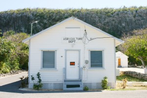 The Cayman Brac Agriculture Department