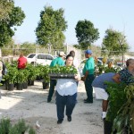 Brac, Little Cayman agriculture shows offer plenty of fun