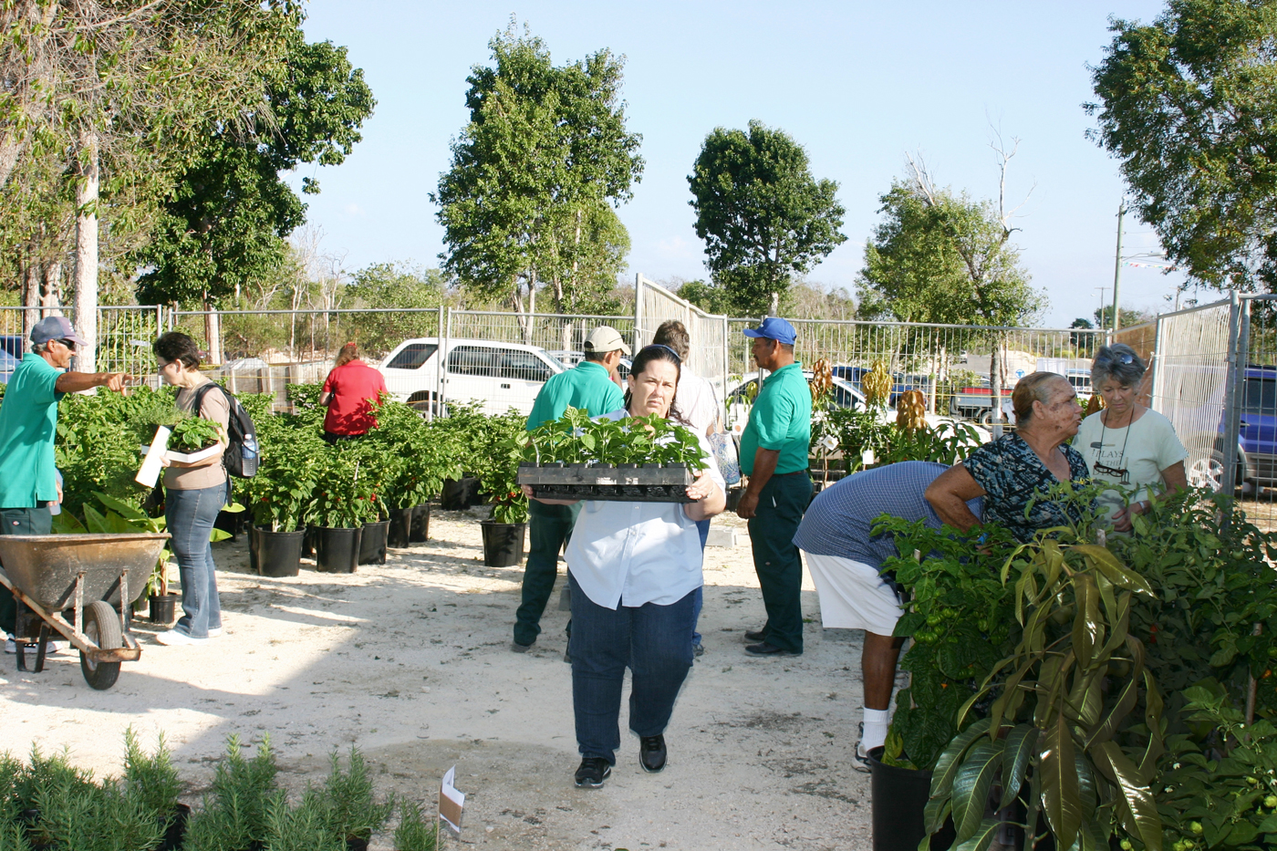 agriculture-show5JPG
