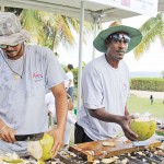 Coconuts take center stage at Pedro festival