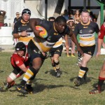 Queensgate Pigs Trotters crowned club rugby champions