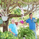 Orchid blooms a love for one BT resident