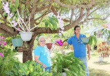 Orchid blooms a love for one BT resident